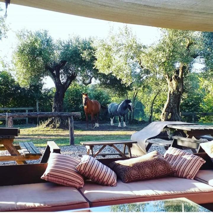 La Masseriola Agriturismo Caianello Vecchio Eksteriør billede