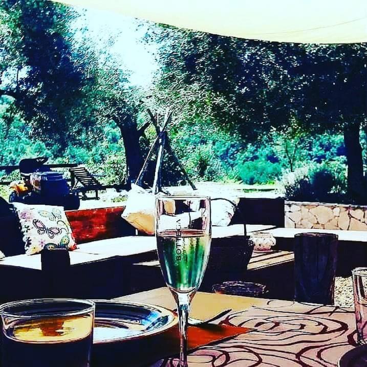 La Masseriola Agriturismo Caianello Vecchio Eksteriør billede