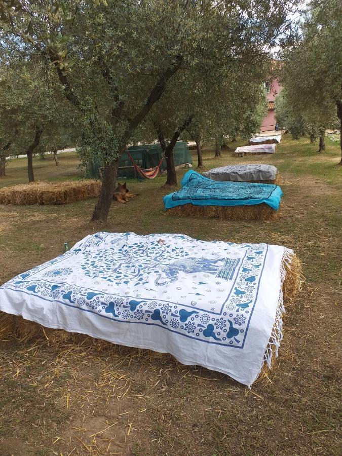 La Masseriola Agriturismo Caianello Vecchio Eksteriør billede