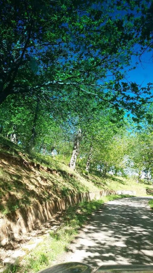 La Masseriola Agriturismo Caianello Vecchio Eksteriør billede