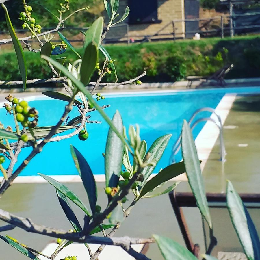 La Masseriola Agriturismo Caianello Vecchio Eksteriør billede