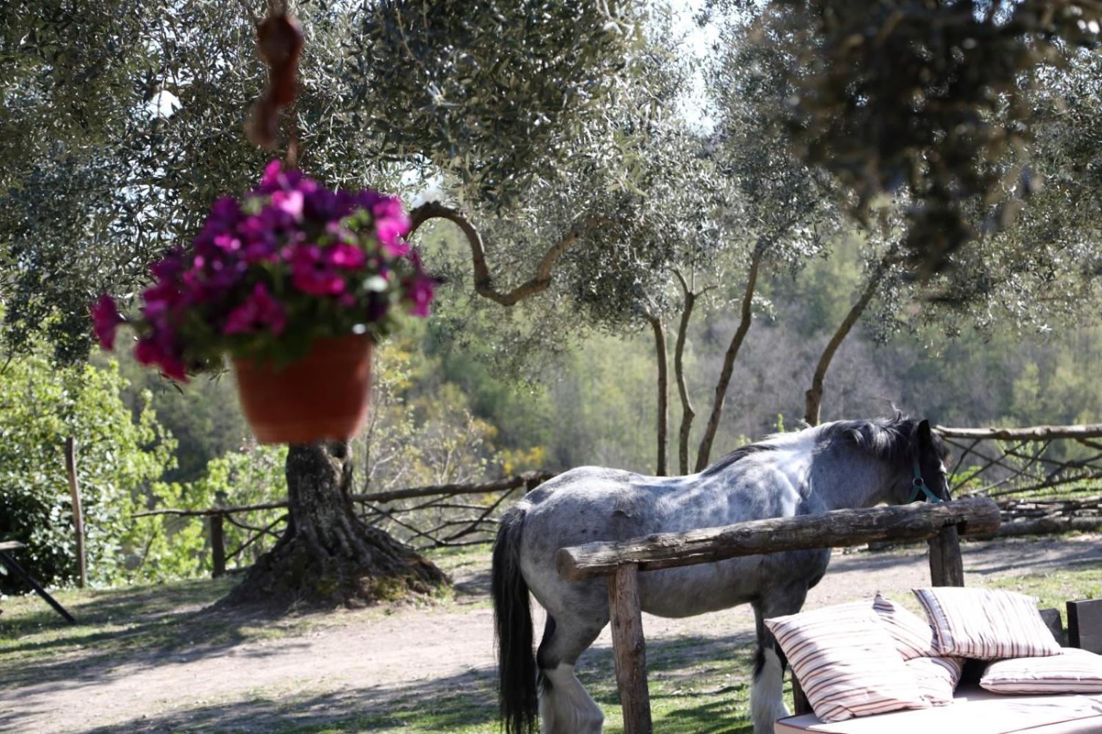 La Masseriola Agriturismo Caianello Vecchio Eksteriør billede