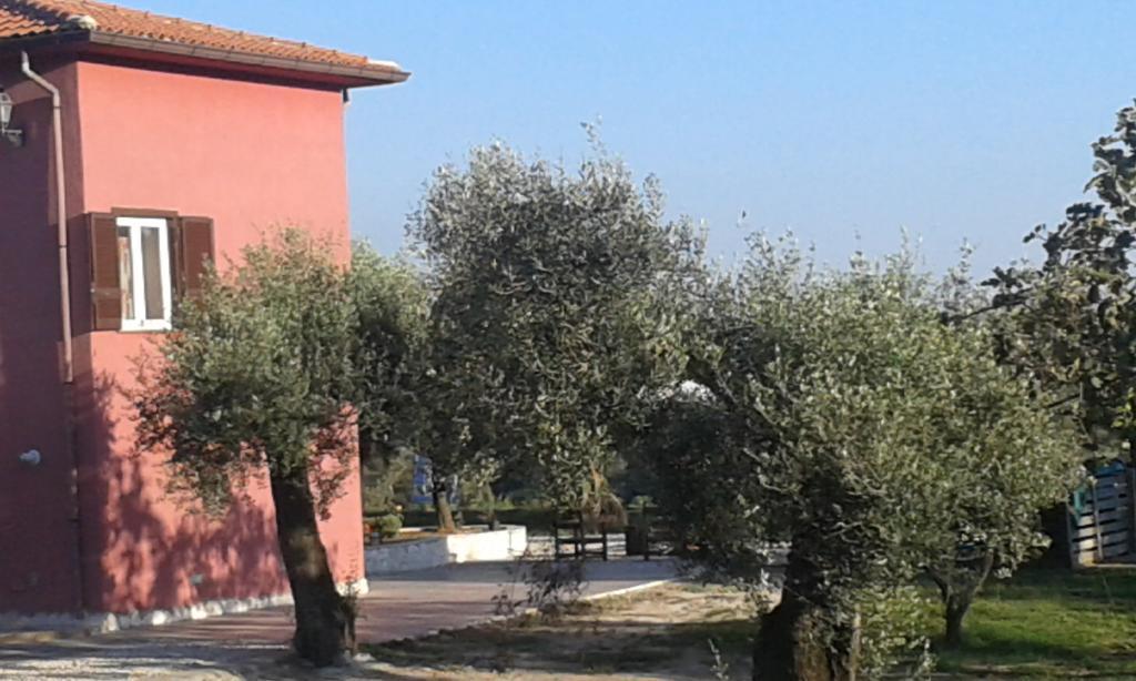 La Masseriola Agriturismo Caianello Vecchio Eksteriør billede