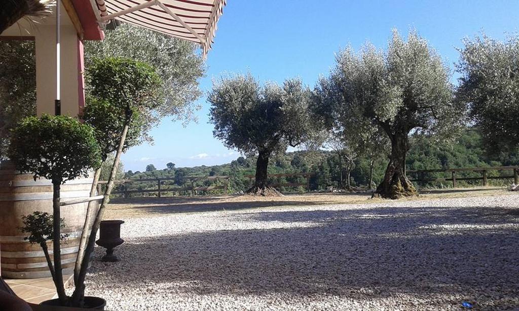 La Masseriola Agriturismo Caianello Vecchio Eksteriør billede