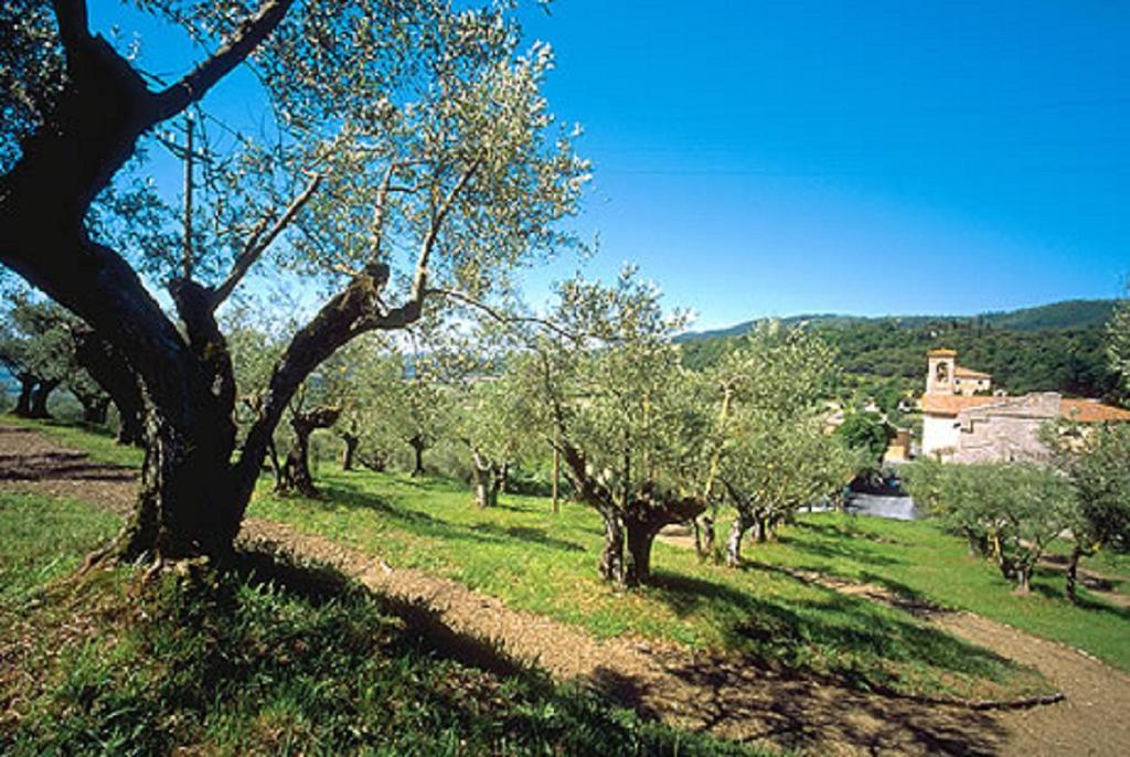 La Masseriola Agriturismo Caianello Vecchio Eksteriør billede
