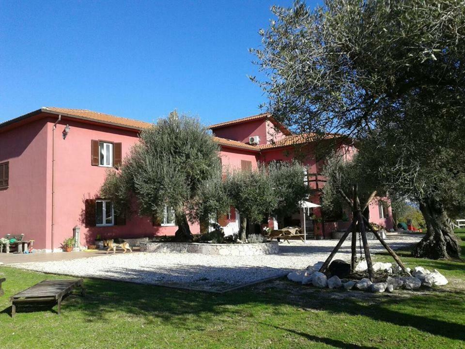 La Masseriola Agriturismo Caianello Vecchio Eksteriør billede