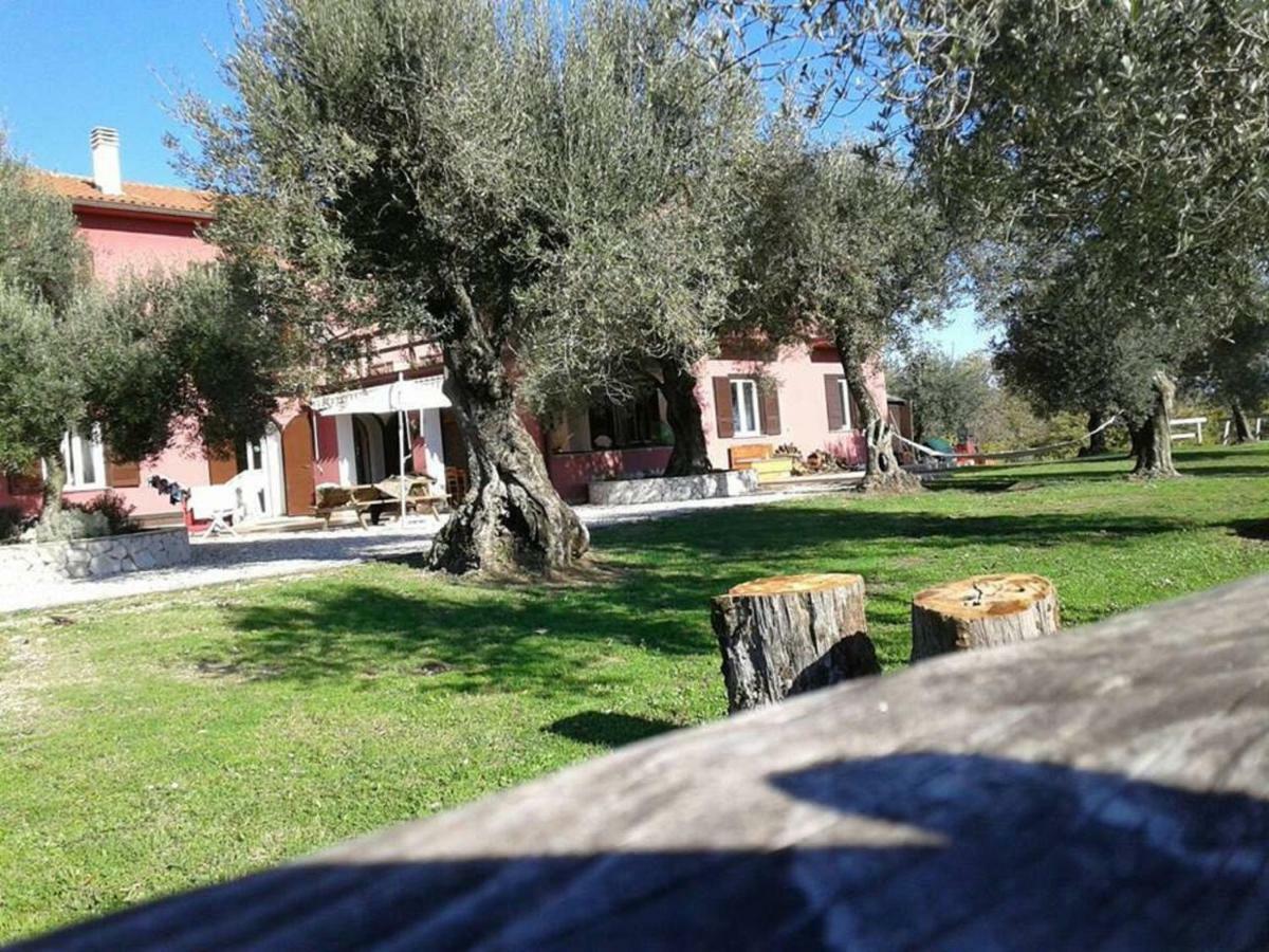 La Masseriola Agriturismo Caianello Vecchio Eksteriør billede