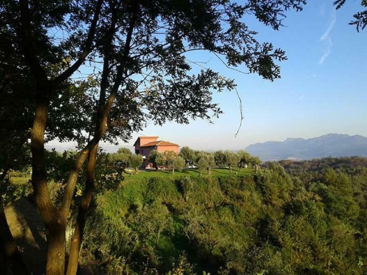La Masseriola Agriturismo Caianello Vecchio Eksteriør billede
