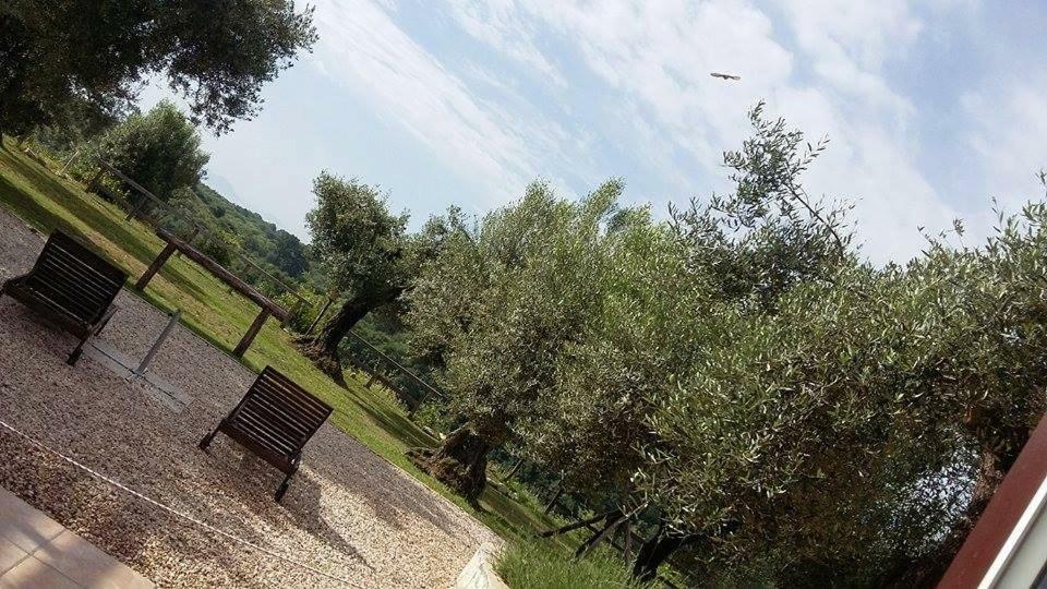 La Masseriola Agriturismo Caianello Vecchio Eksteriør billede