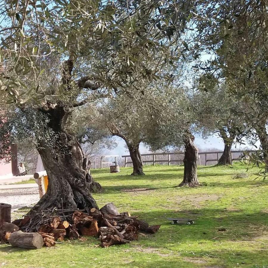 La Masseriola Agriturismo Caianello Vecchio Eksteriør billede