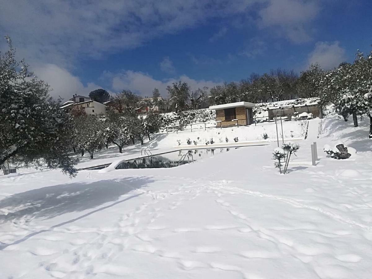 La Masseriola Agriturismo Caianello Vecchio Eksteriør billede