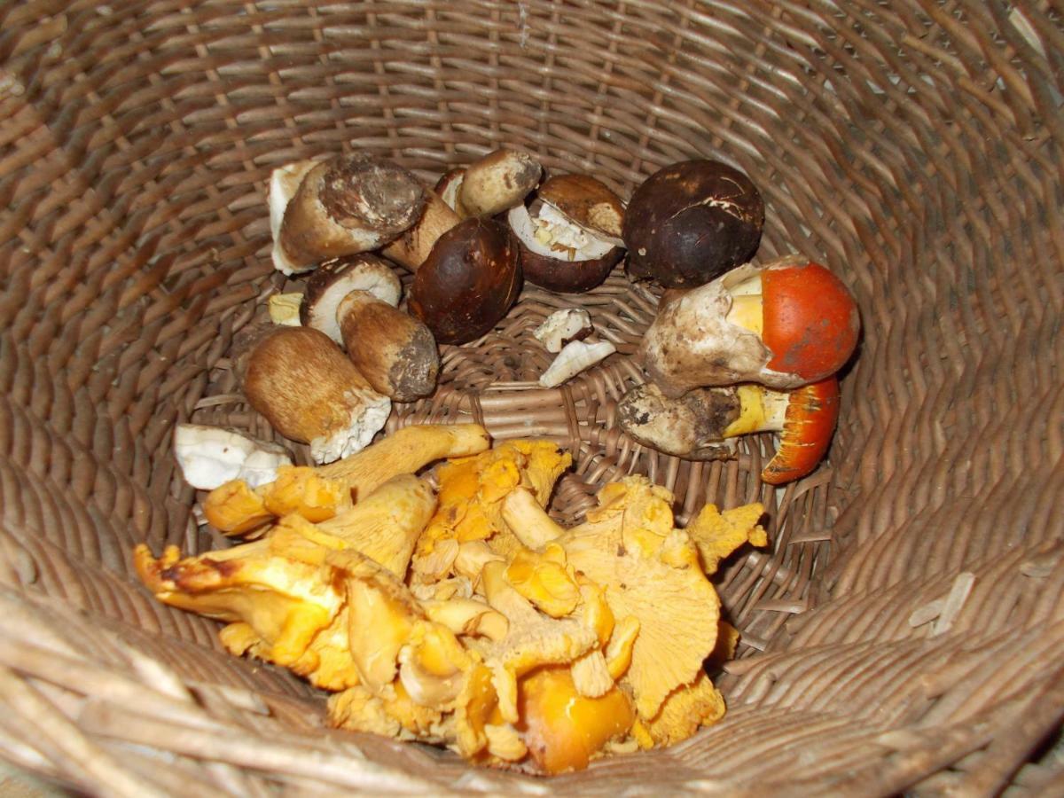 La Masseriola Agriturismo Caianello Vecchio Eksteriør billede